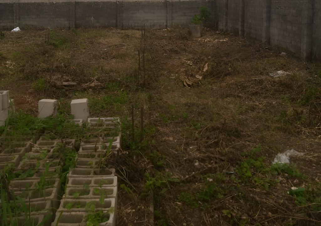check before buying land